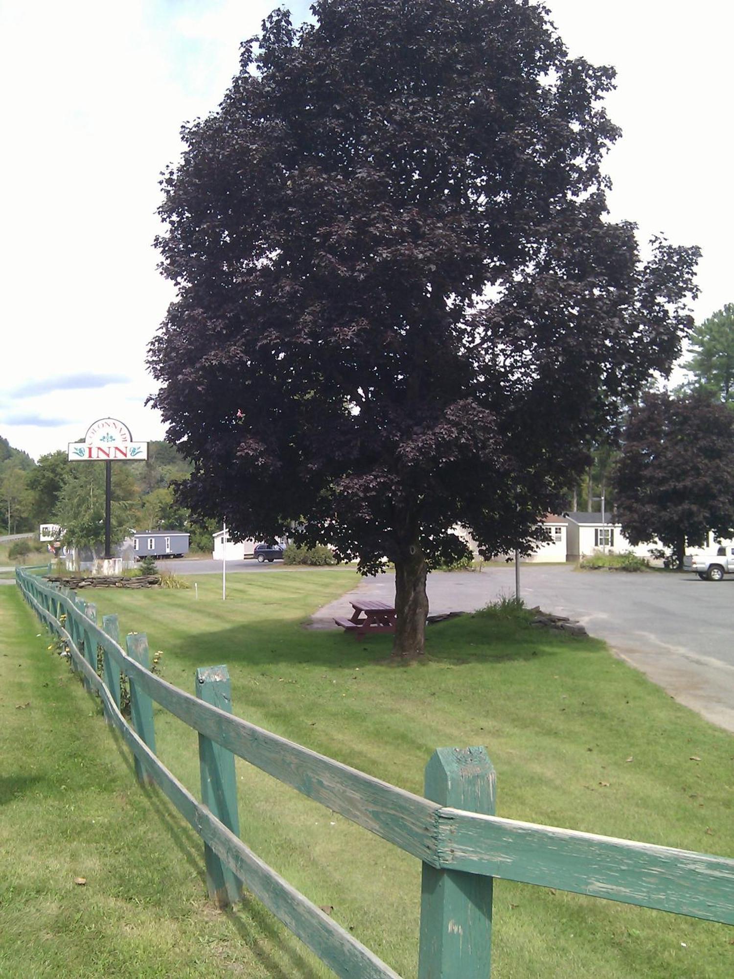 Colonnade Inn Lyndonville Exteriör bild